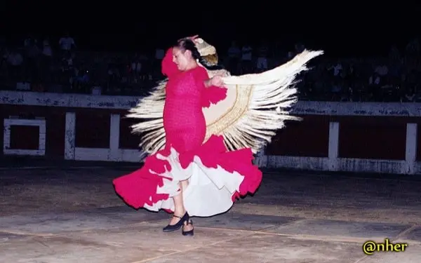 20. Arte flamenco y serrano en el Festival Solidario de Villamiel con los damnificados en el incendio de Sierra de Gata. Un &aacute;lbum de ANHER publicado en www.sierradegatadigital.es                                 