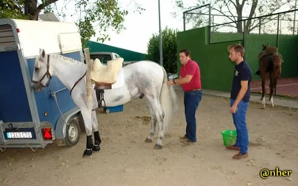 1. Los caballos a su llegada al Festival Solidario de Villamiel con los damnificados en el incendio de Sierra de Gata. Un &aacute;lbum de ANHER publicado en www.sierradegatadigital.es                        