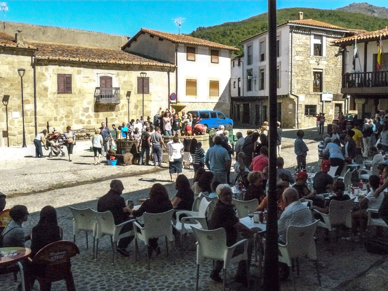 6. San Mart&iacute;n prepara motores para celebrar San Marti&ntilde;o.Imagen de ANTONIO CORREDERA en www.sierradegatadigital.espng