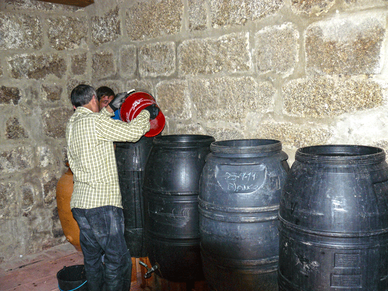 4. El trasiego en la bodega en los bajos de la Torre Campanario.Imagen de ANTONIO CORREDERA en www.sierradegatadigital.es. png