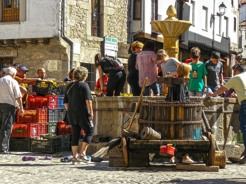 2. Numerosos vecinos y vecinas de distintas edades participaron de la fiesta tradicional. Imagen de ANTONIO CORREDERA en www.sierradegatadigital.es. png
