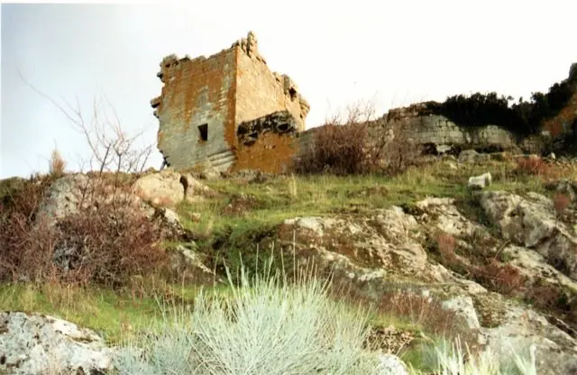 17. Castillo de Trevejo. Imagen de JOS&Eacute; LUIS MAR&acute;TIN GALINDO en www.sierradegatadigital.es
