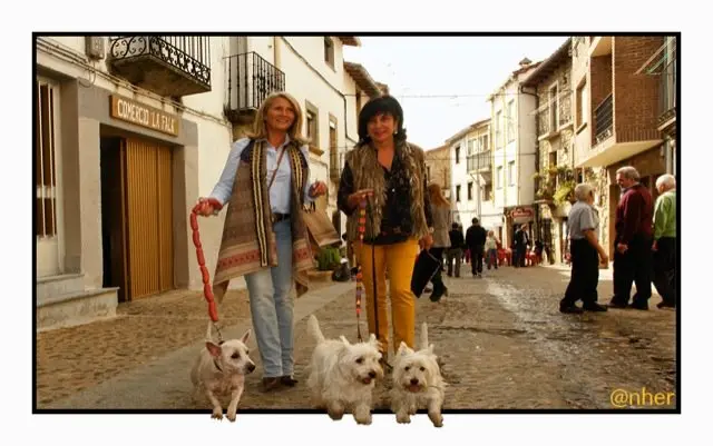 Las calles de Acebo se llenaron de gente durante el Festival Solidario Reverdeceremus celebrado los d&iacute;as 10 y 11 en Acebo y Hoyos, respectivamente. Imagen del s&aacute;bado, 10 de octubre, en Acebo. ANHER para www.sierradegatadigital.es                                 