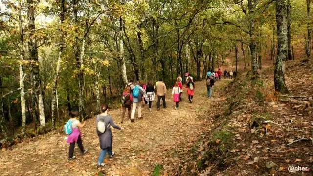 Ruta de oto&ntilde;o en Trevejo. Un &aacute;lbum de ANHER para www.sierradegatadigital.es                                               