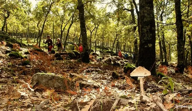 Ruta de oto&ntilde;o en Trevejo. Un &aacute;lbum de ANHER para www.sierradegatadigital.es                                         
