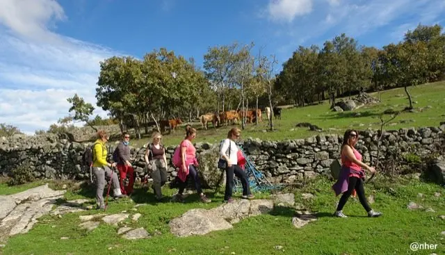 Ruta de oto&ntilde;o en Trevejo. Un &aacute;lbum de ANHER para www.sierradegatadigital.es                                               
