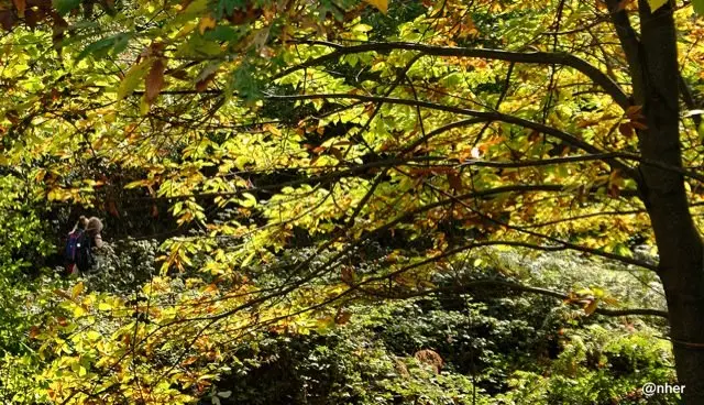 Ruta de oto&ntilde;o en Trevejo. Un &aacute;lbum de ANHER para www.sierradegatadigital.es                                                