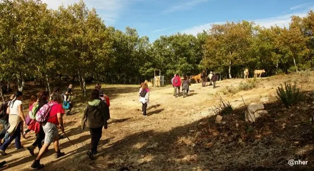 Ruta de oto&ntilde;o en Trevejo. Un &aacute;lbum de ANHER para www.sierradegatadigital.es                   