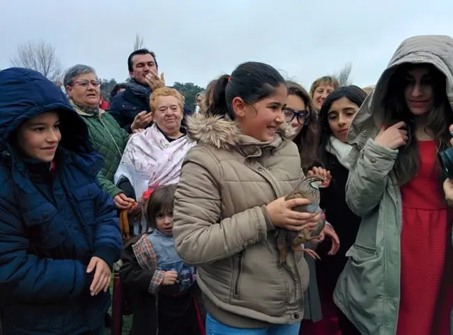 La niña sostiene en sus manos una perdiz antes de dejarla volar en Villanueva de la Sierra