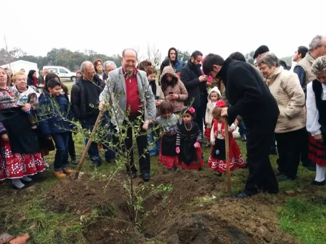 El párroco planta un acebuche en la 211 Fiesta del Árbol