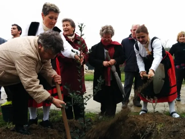 Un momento de la plantación de ejemplares en la 211 Fiesta del Árbol de Villanueva de la Sierra