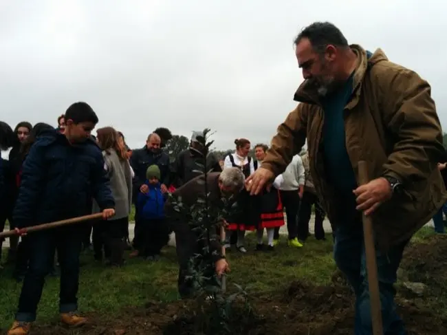 Un momento durante la plantación de acebos y acebuches en Villanueva de la Sierra