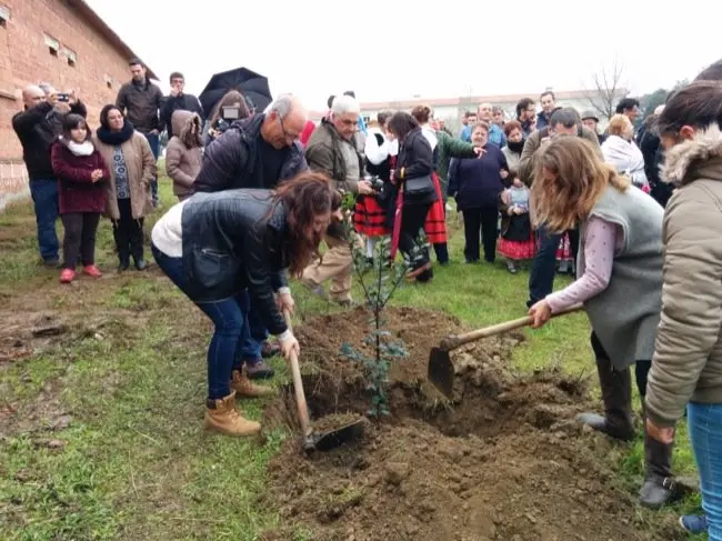 Cristina Carrasco, vicepresidenta de la mancomunidad y alcaldesa de Valverde planta un acebo junto a una joven villanovense en la 211 Fiesta del Árbol