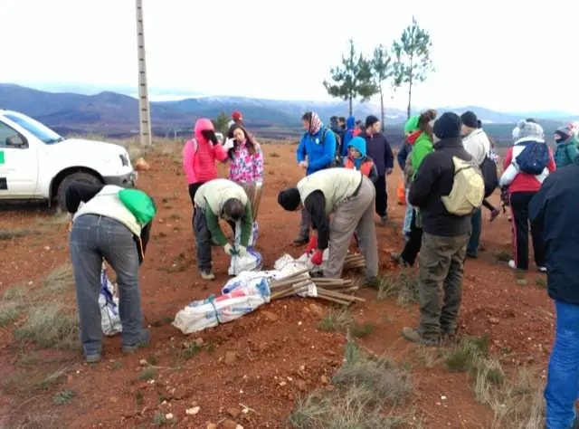 Preparando la ma&ntilde;ana de tarea con Plantabosques en Sierra de Gata. VER&Oacute;NICA LOPO. ADENEX