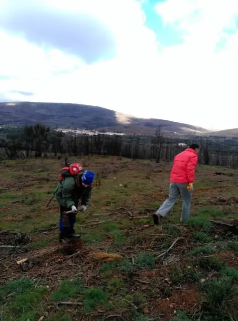 Ma&ntilde;ana de invierno para los Plantabosques en Sierra de Gata. VER&Oacute;NICA LOPO. ADENEX