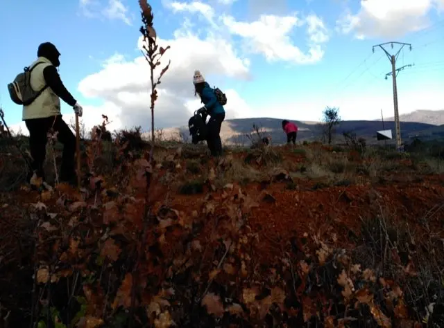 Voluntarios de Plantabosques en su primer fin de semana en Sierra de Gata. VER&Oacute;NICA LOPO. ADENEX