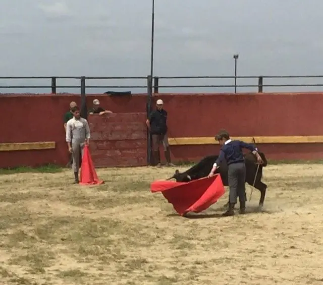 IV Jornada de la Discapacidad con el Toro Bravo organizada por AXPAY y el Centro de Formaci&oacute;n del Medio Rural de Moraleja