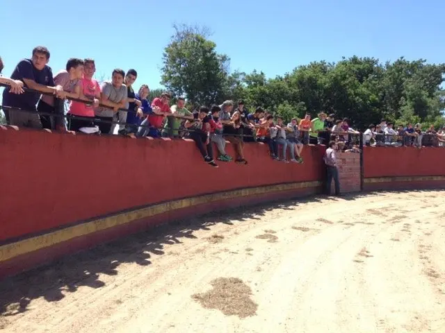 En el tentadero de El Espinel durante la actuaci&oacute;n del torero Jairo C&aacute;ceres