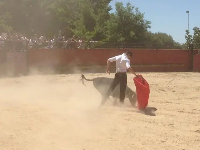 Jairo C&aacute;ceres durante el tentadero en El Espinel en la fiesta de fin de curso de Auxiliar de Mayoral del Centro de Formaci&oacute;n del Medio Rural en Moraleja