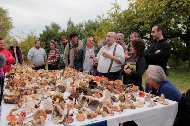 I Jornadas Micológicas en el albergue Sierra de Gata, de Torre de Don Miguel2
