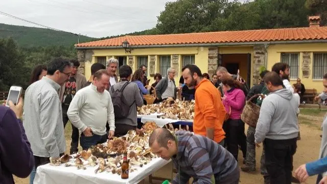 I Jornadas Micológicas en el albergue Sierra de Gata, de Torre de Don Miguel6