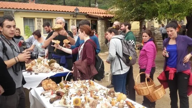 I Jornadas Micológicas en el albergue Sierra de Gata, de Torre de Don Miguel8