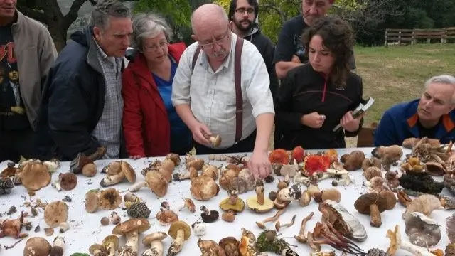 I Jornadas Micológicas en el albergue Sierra de Gata, de Torre de Don Miguel9