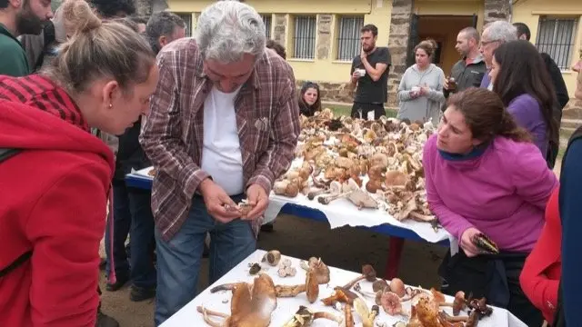 I Jornadas Micológicas en el albergue Sierra de Gata, de Torre de Don Miguel10