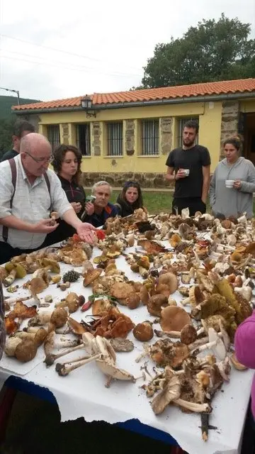 I Jornadas Micológicas en el albergue Sierra de Gata, de Torre de Don Miguel11