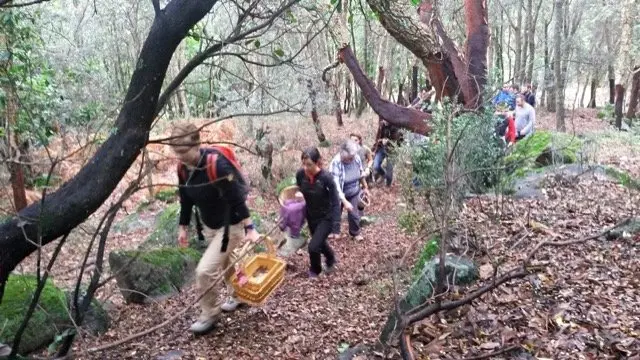 I Jornadas Micológicas en el albergue Sierra de Gata, de Torre de Don Miguel18