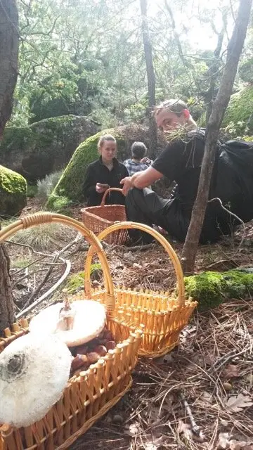 I Jornadas Micológicas en el albergue Sierra de Gata, de Torre de Don Miguel22