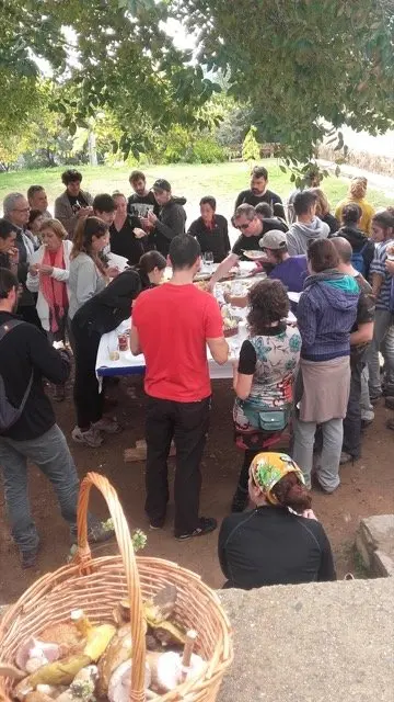 I Jornadas Micológicas en el albergue Sierra de Gata, de Torre de Don Miguel25