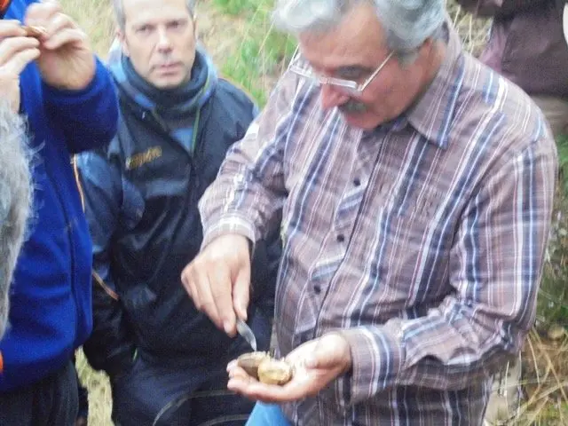 I Jornadas Micológicas en el albergue Sierra de Gata, de Torre de Don Miguel29