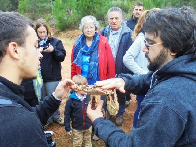 I Jornadas Micológicas en el albergue Sierra de Gata, de Torre de Don Miguel30