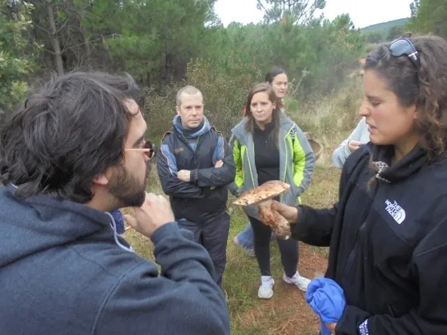 I Jornadas Micológicas en el albergue Sierra de Gata, de Torre de Don Miguel31
