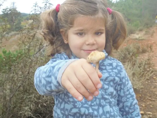 I Jornadas Micológicas en el albergue Sierra de Gata, de Torre de Don Miguel32