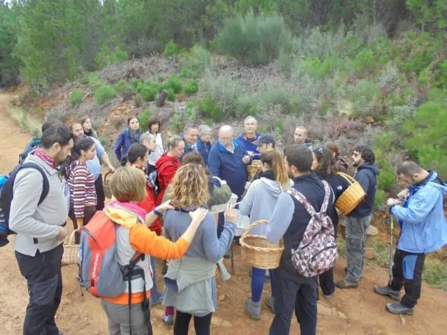 I Jornadas Micológicas en el albergue Sierra de Gata, de Torre de Don Miguel33