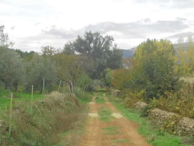 I Jornadas Micológicas en el albergue Sierra de Gata, de Torre de Don Miguel36