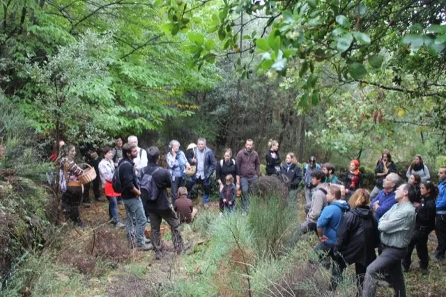I Jornadas Micológicas en el albergue Sierra de Gata, de Torre de Don Miguel37