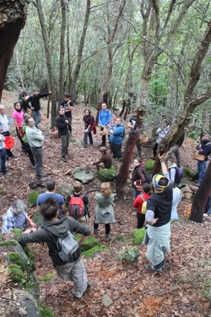 I Jornadas Micológicas en el albergue Sierra de Gata, de Torre de Don Miguel38