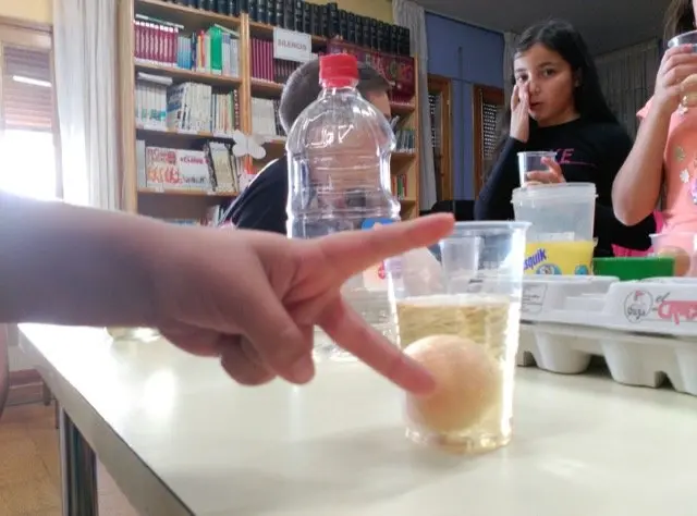 Actividades lúdico didácticas organizadas por la biblioteca de Hoyos11