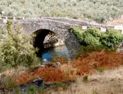 Puente Carreci&aacute;