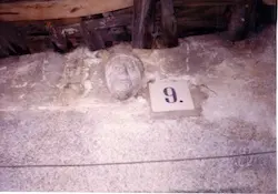 , OTRA CABEZA DE ACEBO.jpg