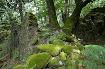 Las Siete Fuentes. Proyecto de la Fundaci&oacute;n Phi en Sierra de Gata