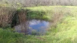 Finca en venta en Gata