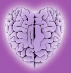 La inteligencia del coraz&oacute;n