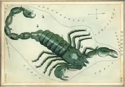 Junio. Scorpius constellation