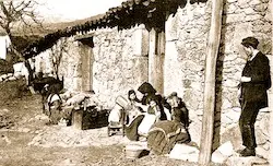 Acebo. 1915