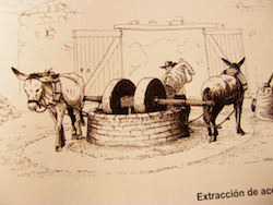 El sistema de muela movida mediante fuerza animal (dibujado por Agust&iacute;n Flores).