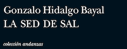 La Sed de Sal de Gonzálo Hidalgo Bayal